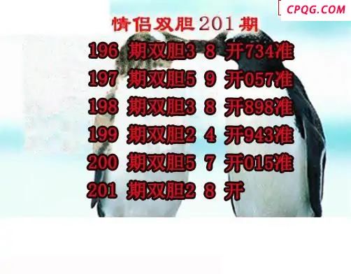 情侣双胆2025201期3d图谜