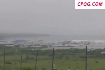 126辆人道主义援助物资卡车进入加沙地带 停火努力持续