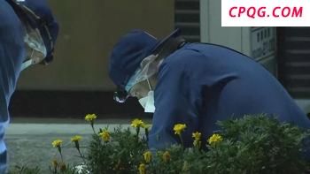 内塔尼亚胡拟提交吞并加沙部分地区计划