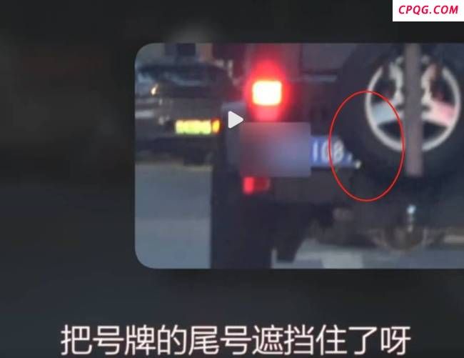 演员张俪就遮挡机动车号牌道歉 深刻认识错误