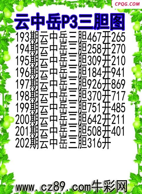 25年202期云中岳P3三胆图