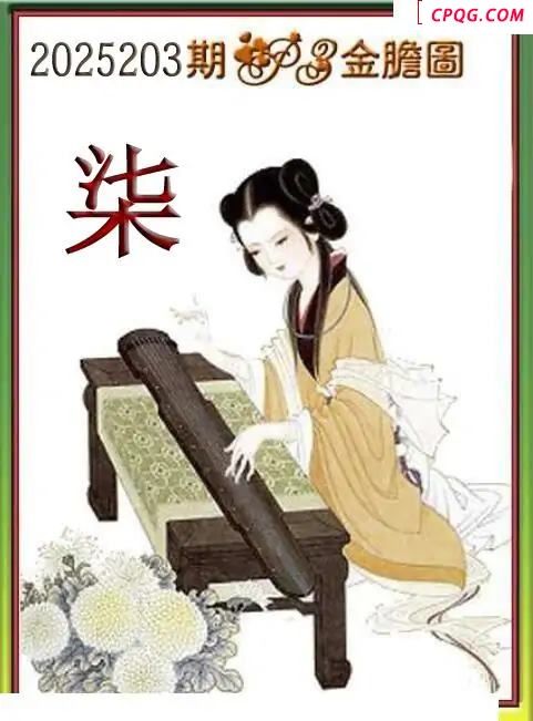 体彩P32035203期 天吉金胆系列图