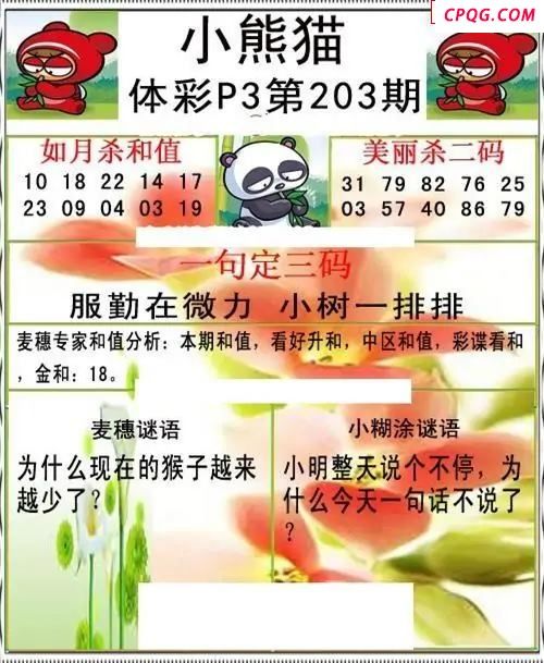 小熊猫2035203期体彩P3图谜