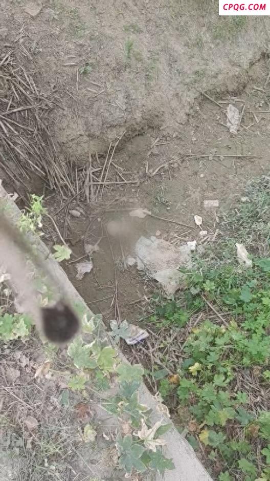 女子跑步时发现沟里有头骨 警方回应