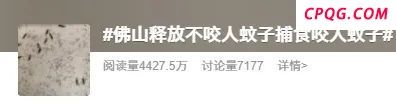 什么是华丽巨蚊