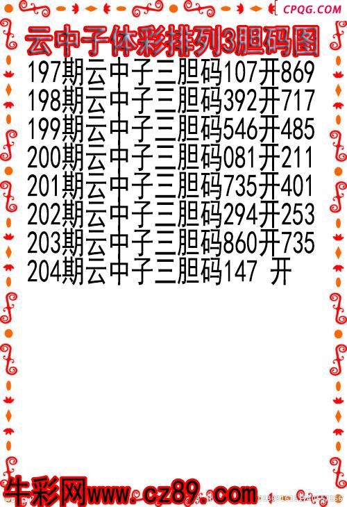 25年204期云中子体彩排列3胆码图