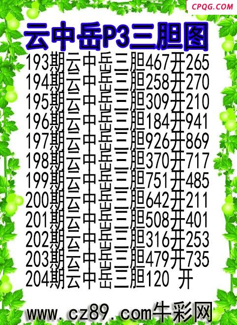 25年204期云中岳P3三胆图