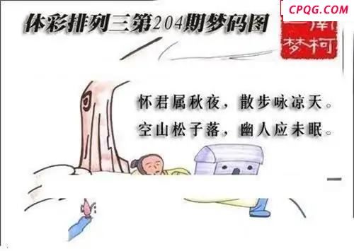 体彩P32045年204期 梦码图