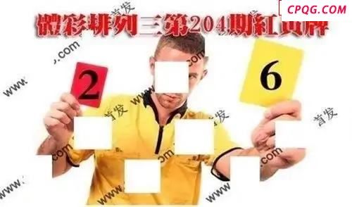 体彩P32045年204期 红黄牌图谜