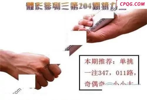 体彩P32045年204期 接力图