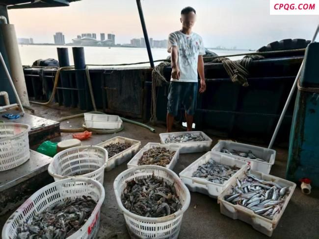 广东湛江海警4天连查6起海上违法案件 严打海上违法行为
