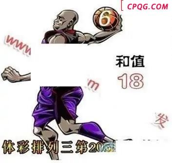体彩P32045年205期 扣篮图