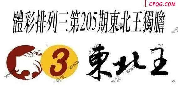 体彩P32045年205期 东北王独胆图