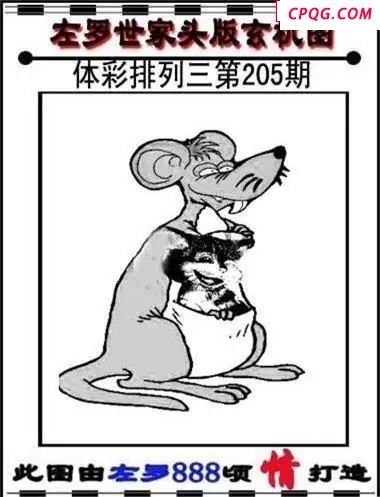 体彩P32045年205期 左罗世家玄机图