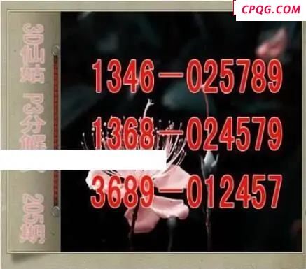 仙姑分解式25年205期体彩P3图谜