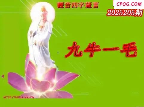 体彩P32045年205期 天霁密宗图谜