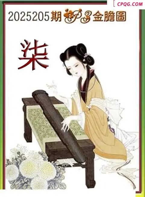 体彩P32045205期 天吉金胆系列图