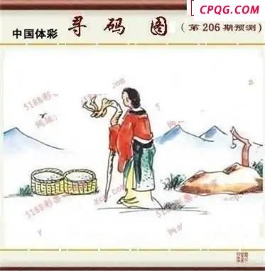 体彩P32045年206期 5188系列全图谜