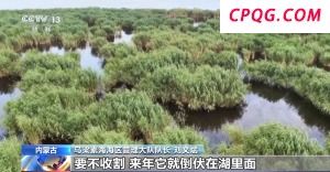 废旧塑料餐盒变身3D打印椅 “变废为宝”又有新招