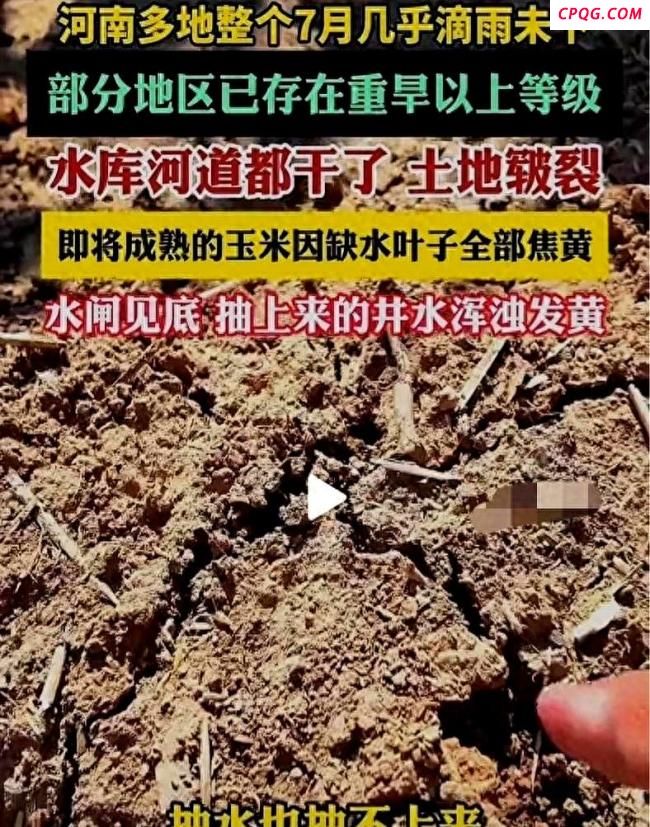 河南局地遇旱 土地干到铁锹挖不动
