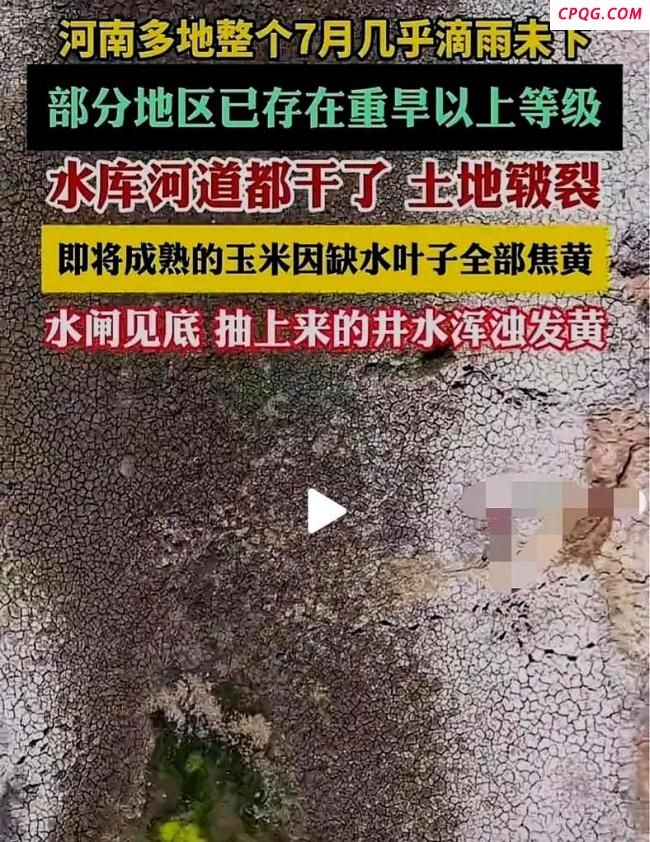 河南局地遇旱 土地干到铁锹挖不动 农民忧心忡忡