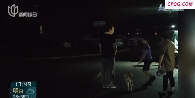 上海一小区有人遛北美赤狐
