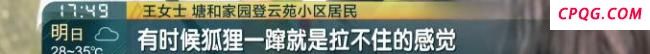 上海一小区有人遛北美赤狐 居民担忧安全问题