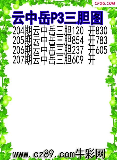 25年207期云中岳P3三胆图