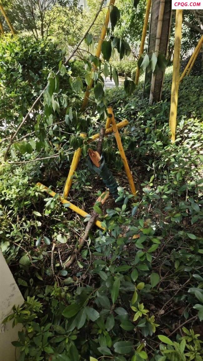 男孩补课从14楼窗户坠亡谁来买单 家属寻求真相