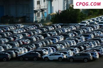 以总理为何要全面占领加沙 复杂因素驱动决策
