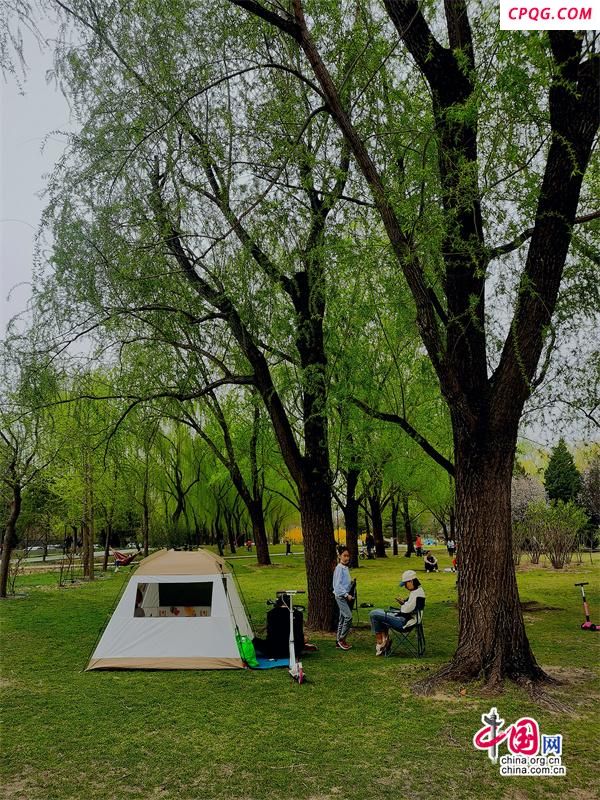 北京公园总数超过1100个 小众公园这样破圈