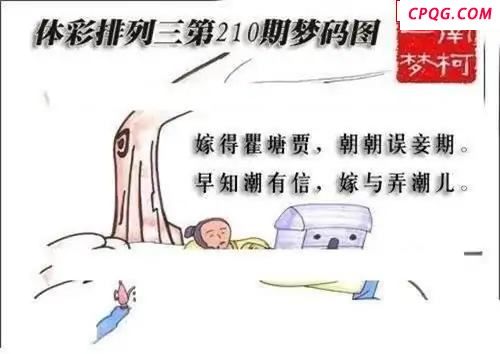 体彩P32025年210期 梦码图
