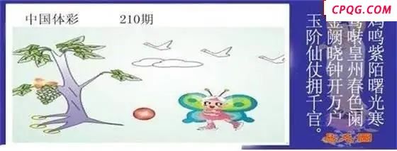 体彩P32025年210期 易名图