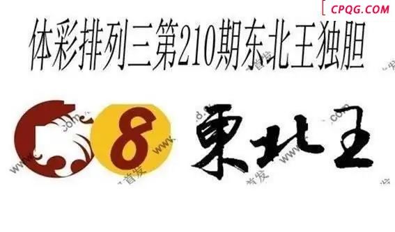 体彩P32025年210期 东北王独胆图