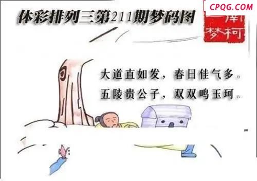 体彩P32025年211期 梦码图