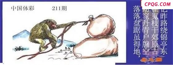体彩P32025年211期 易名图