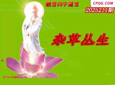 体彩P32025年211期 天霁密宗图谜