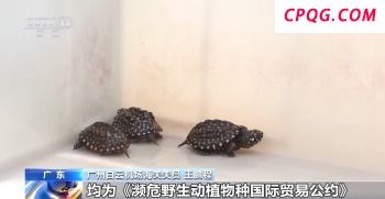 特朗普对印度关税升至50% 印方坚决反对