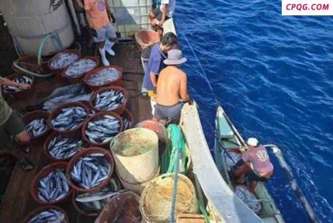 如何看待中国海警抵近巴拉望岛巡航 南海局势再起波澜