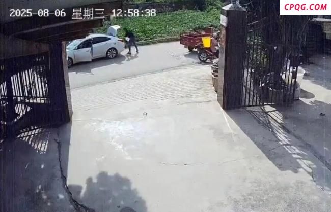 出逃被人抱走的宠物龟找到了 民警两天两夜寻回