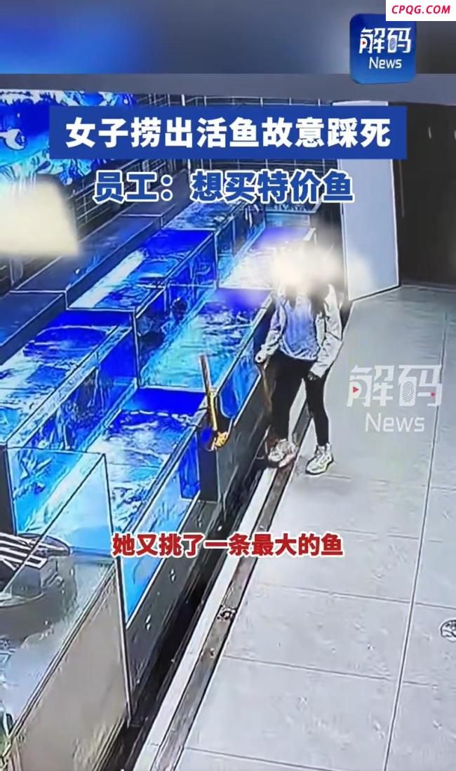 女子为买特价鱼踩死活鱼