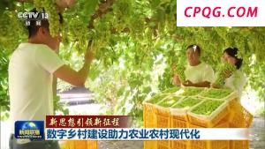 数字乡村建设助力农业农村现代化