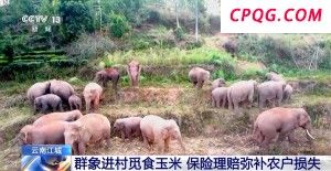辽宁抚顺一客车侧翻致4人死亡 事故紧急救援中