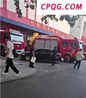 印度监控拍下人狮相遇双方扭头奔逃 惊险又搞笑的一幕