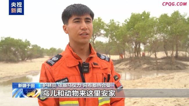 引冰川融水 16.8万亩胡杨林“轮灌”焕生机