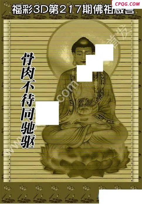 佛祖真言2025217期3D图谜