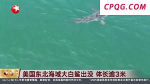 市监局提醒固体饮料不是奶粉 谨防误导宣传