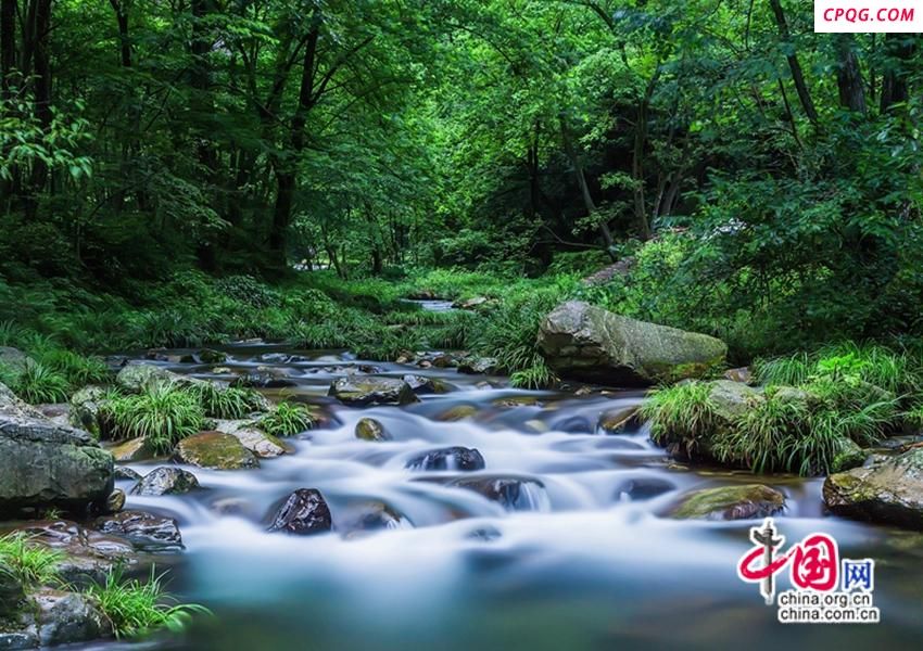 武陵源：清凉经济持续升温 避暑游成消费新引擎