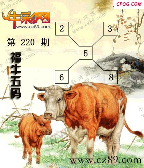 2025220期牛彩一句定三码