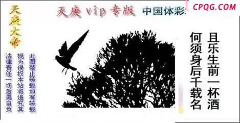 体彩P32025年220期 天庚大帝图谜